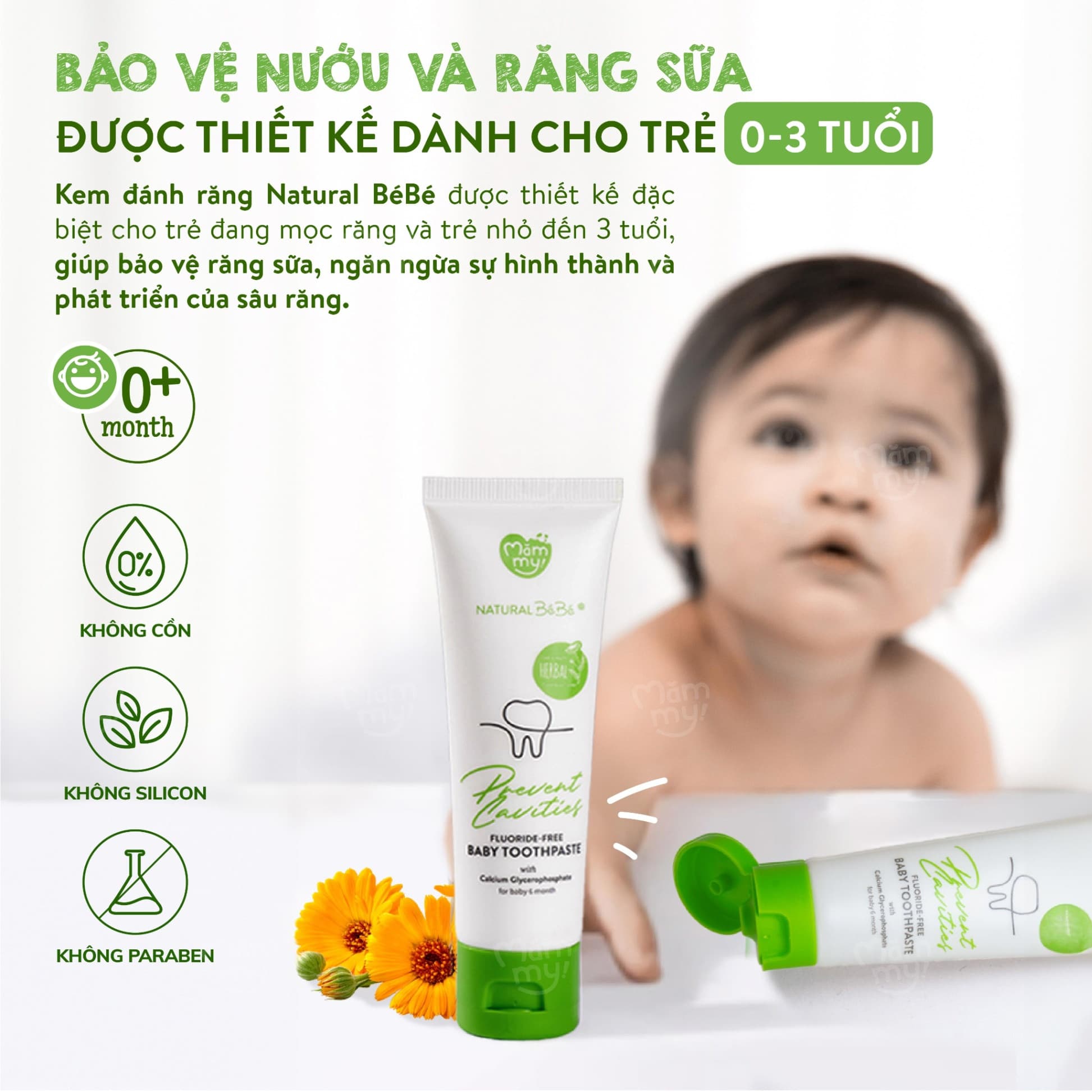 Kem đánh răng thảo dược Natural BéBé 5