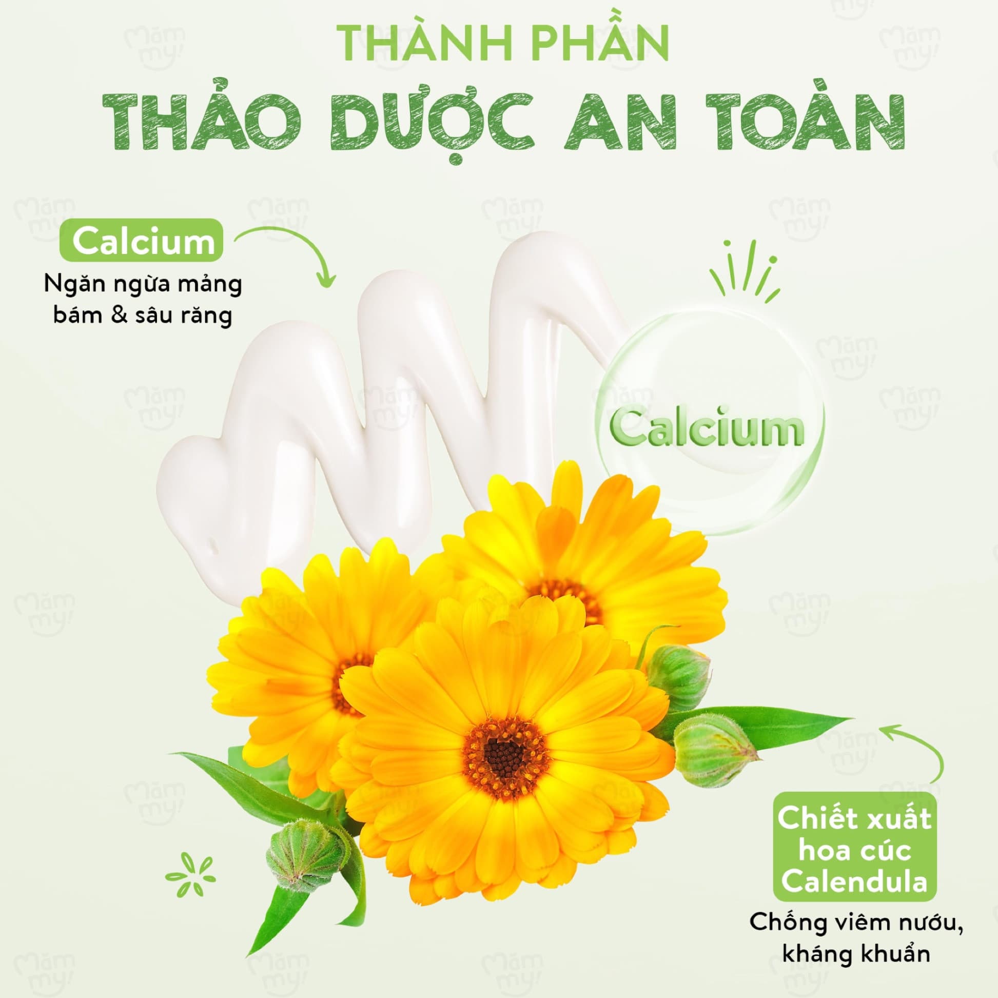 Kem đánh răng thảo dược Natural BéBé 9