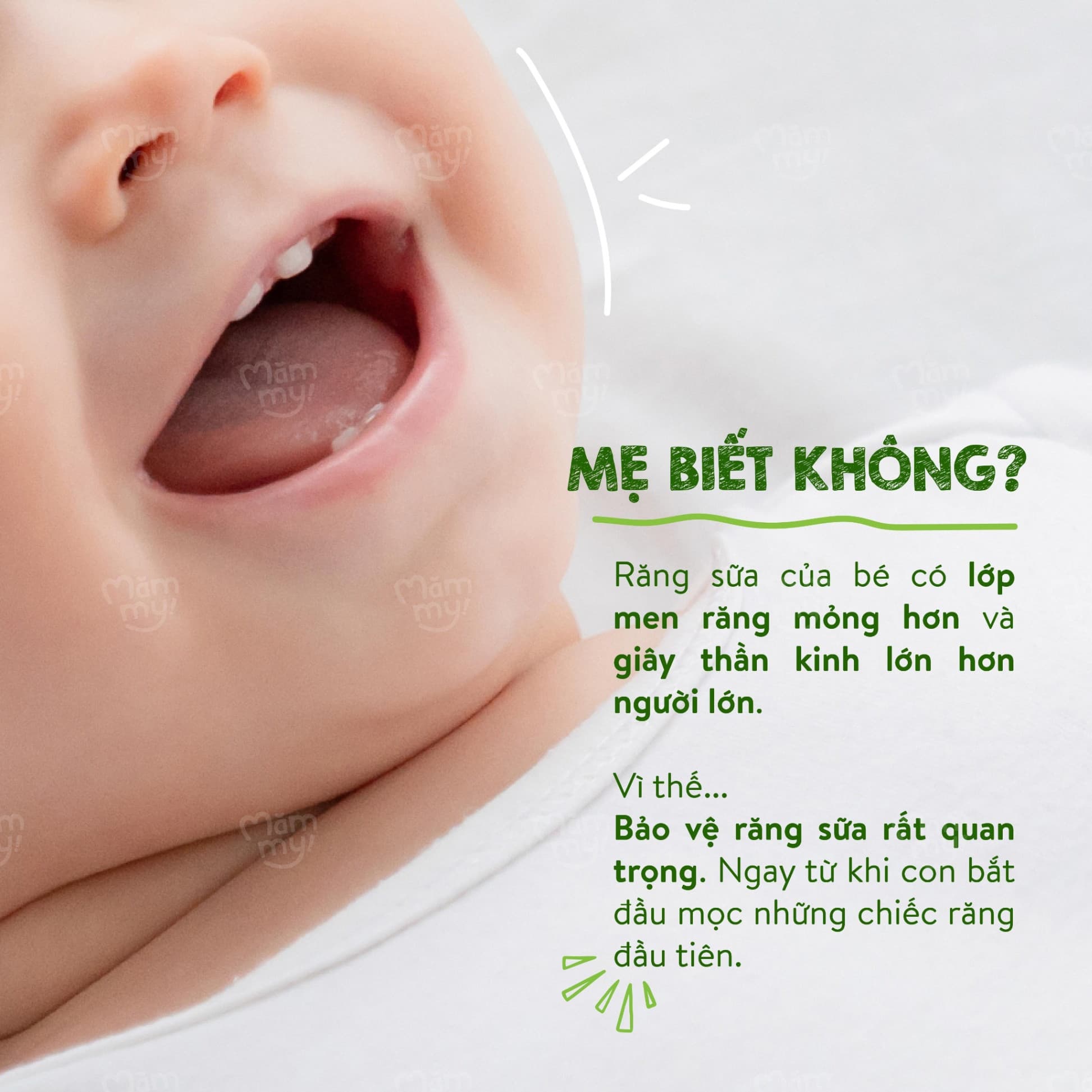 Kem đánh răng thảo dược Natural BéBé 11