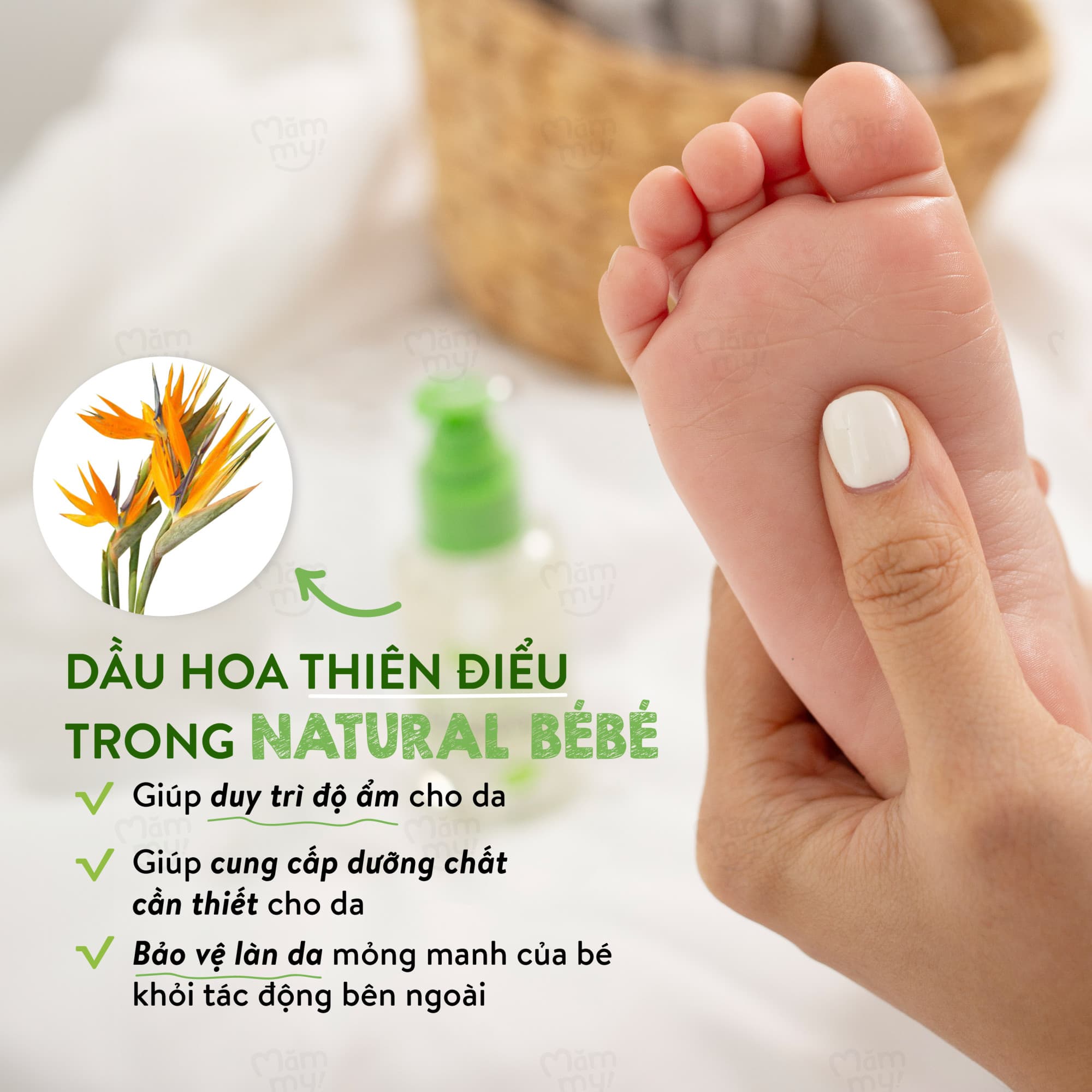 Dầu massage thảo dược Baby Calming - TẶNG KEM ĐÁNH RĂNG 9