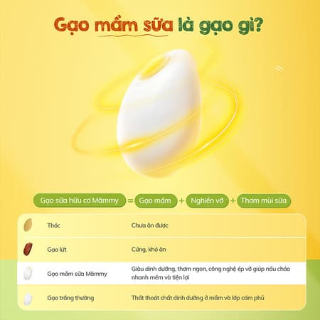 Hạt Gạo Sữa Hữu Cơ - Hũ 140g 2