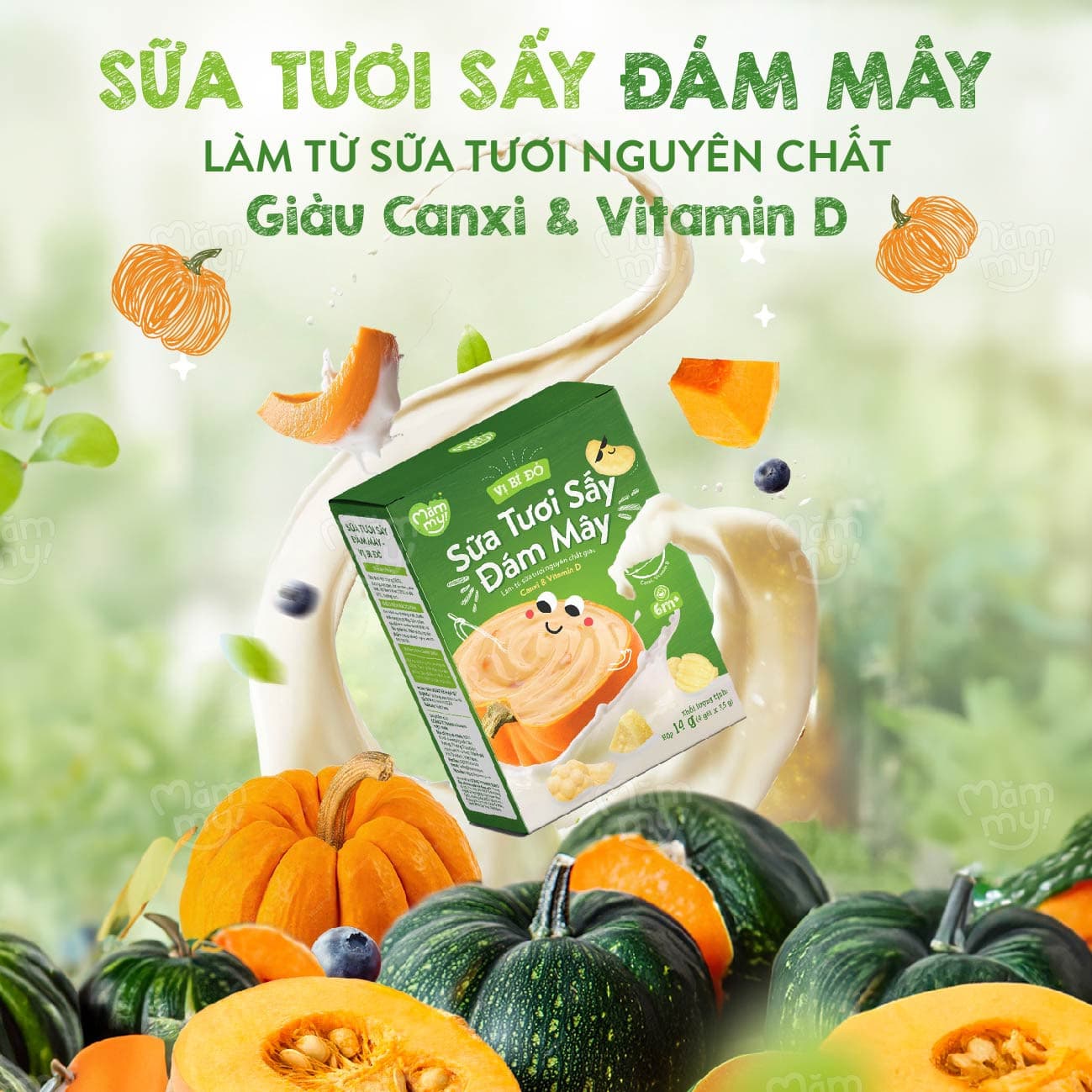 Sữa tươi sấy Vị Bí đỏ - Hộp 14g 42