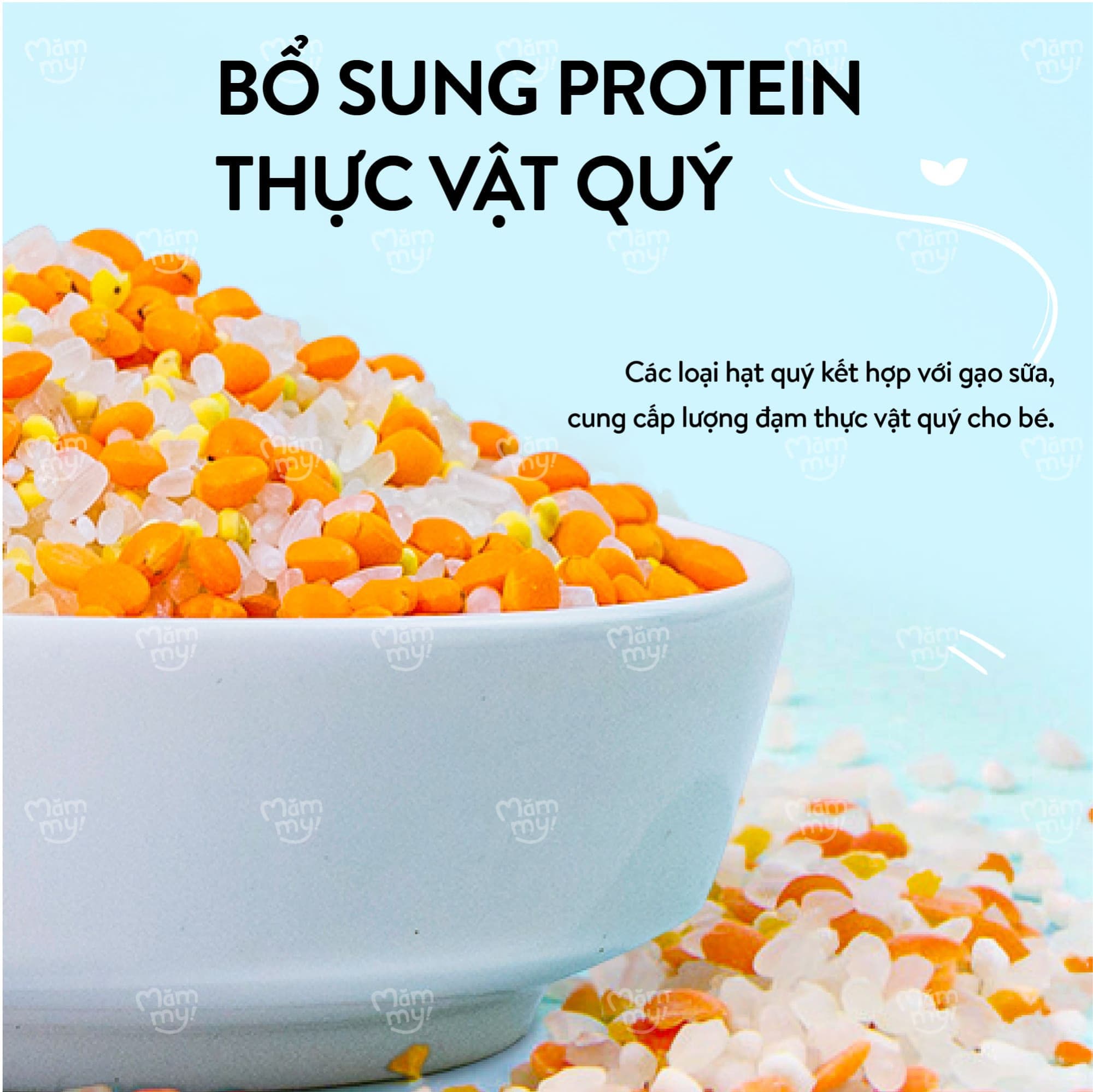 Set 9 hũ hạt mix gạo sữa nấu cháo [Tặng 9 hũ gạo sữa] 7