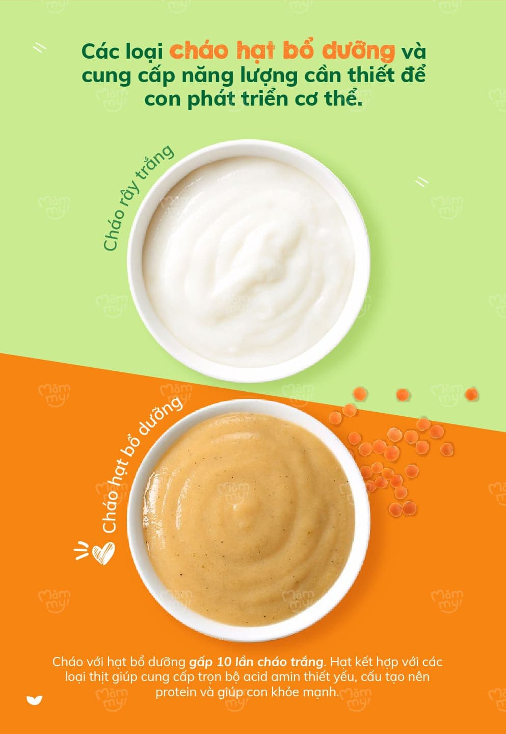 Hạt Yến Mạch Ăn Dặm - Hũ 80g 4