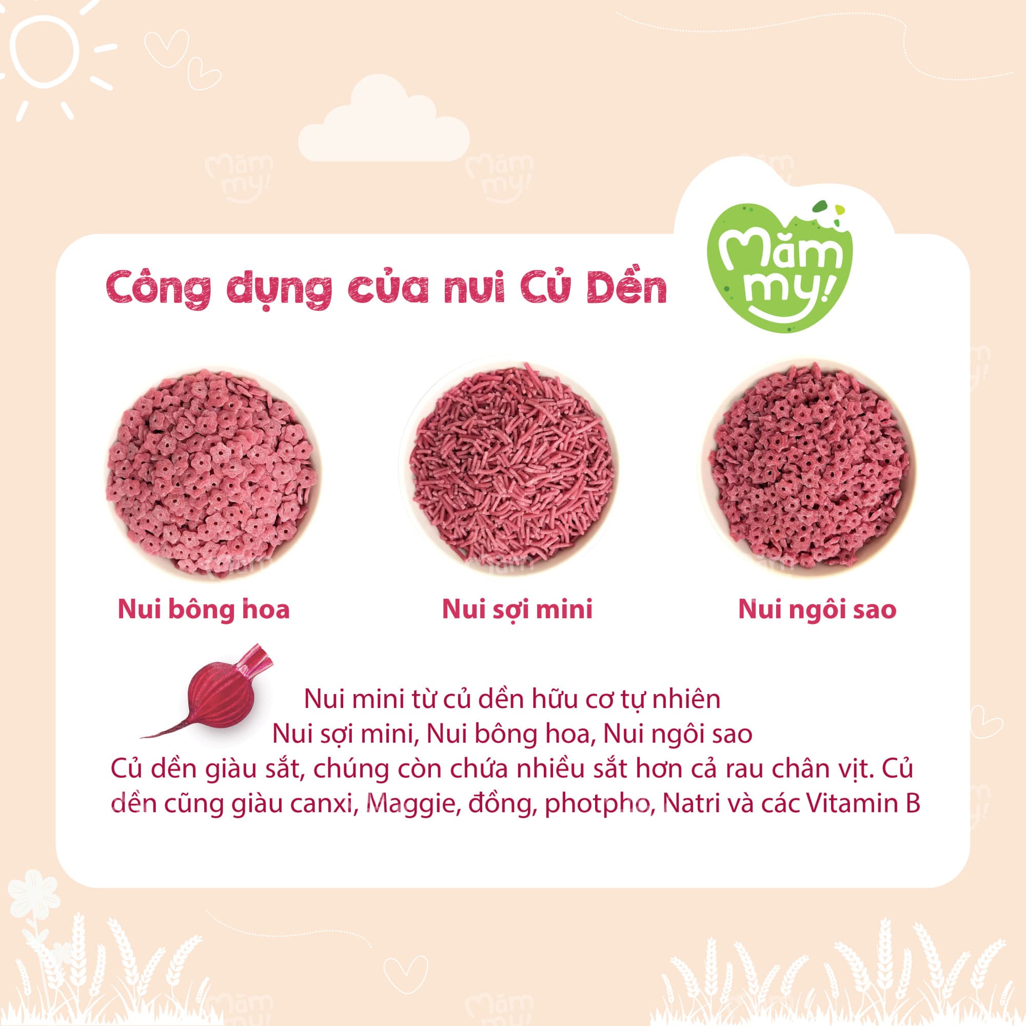 Nui củ dền mini tập nhai - Hộp 100g 10