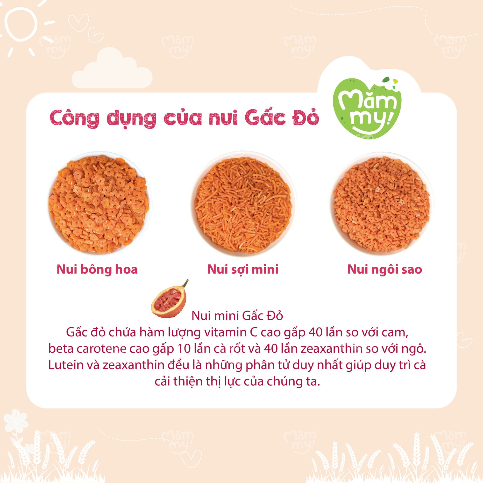 Nui gấc đỏ mini tập nhai - Hộp 100g 11
