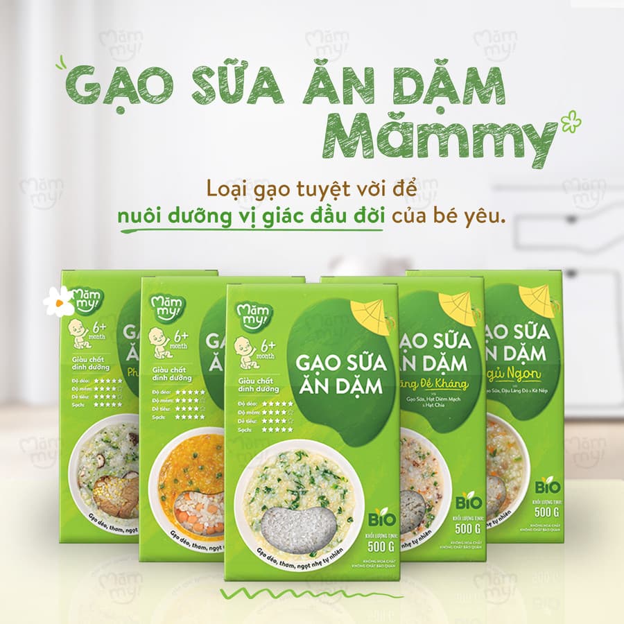 Gạo sữa ăn dặm Ngủ Ngon - Hộp 500 g 13
