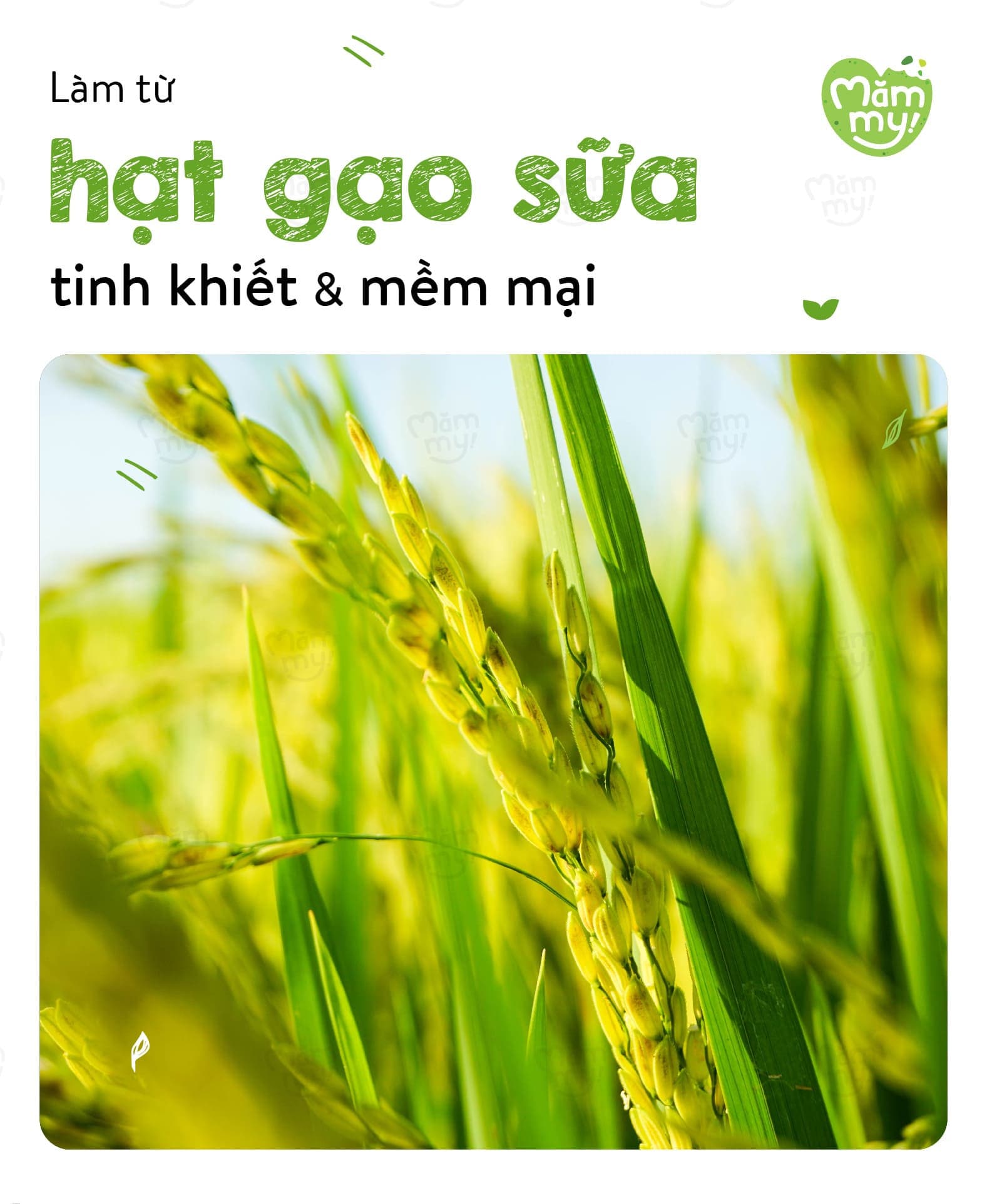 Bột ăn dặm Gà hầm Cà rốt - Hộp 140g 10