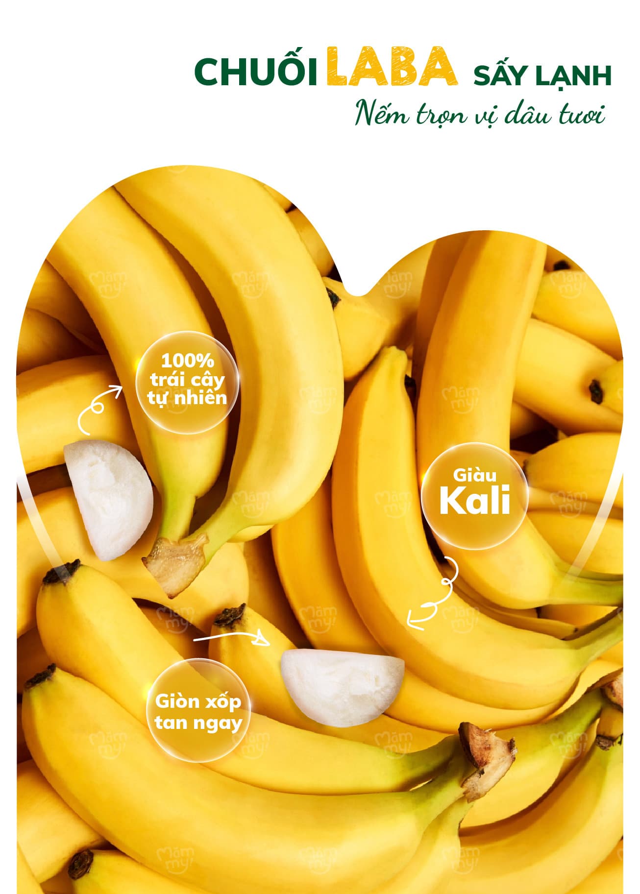 Sữa chua sấy Vị Chuối - Túi 20g 26