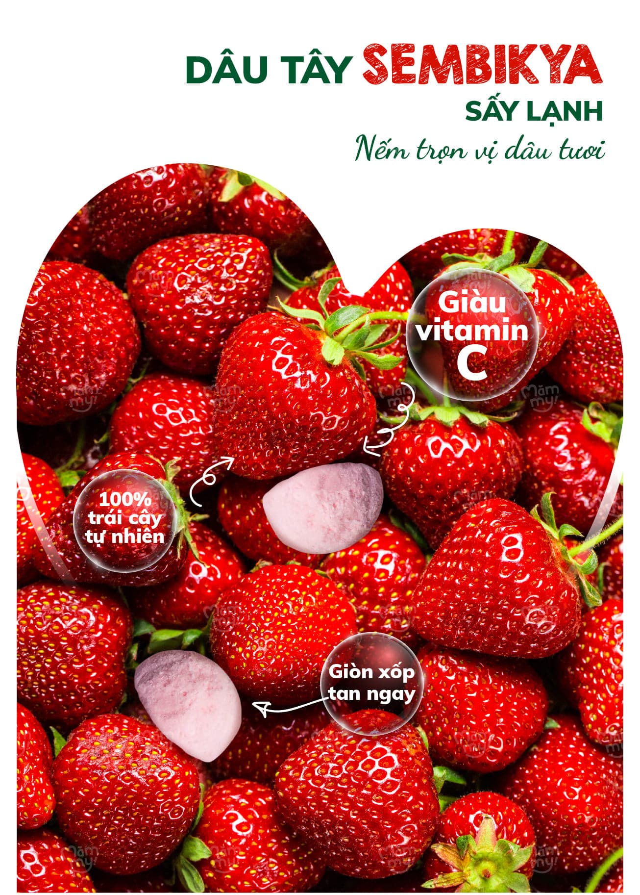 Sữa chua sấy Vị Dâu Sembikiya - Túi 20g 22