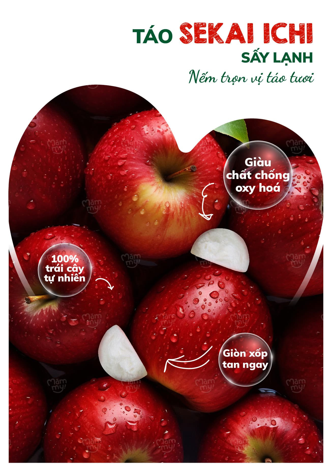 Sữa chua sấy Vị Táo Sekai Ichi  - Túi 20g 29