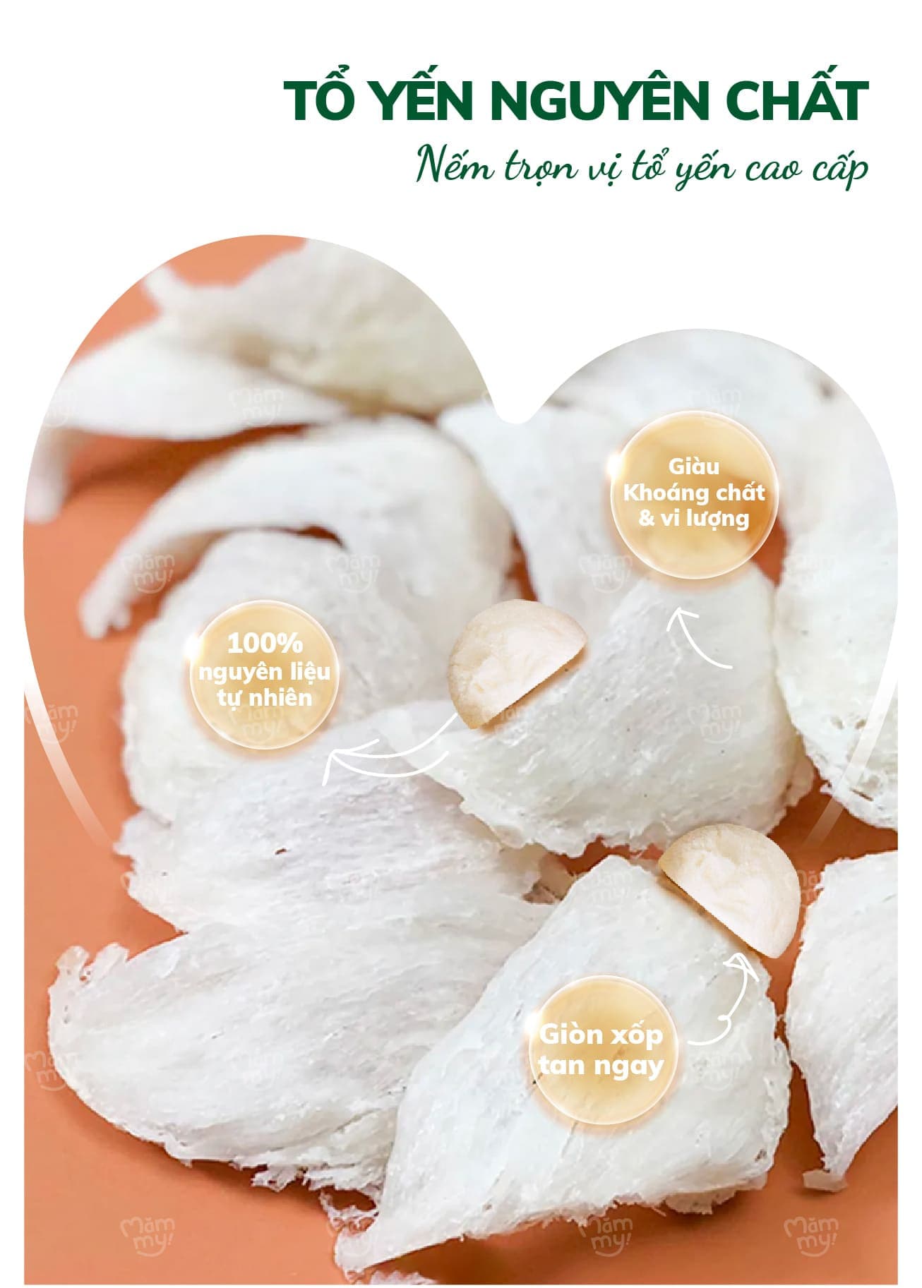 Sữa chua sấy Vị Tổ yến - Túi 20g 22