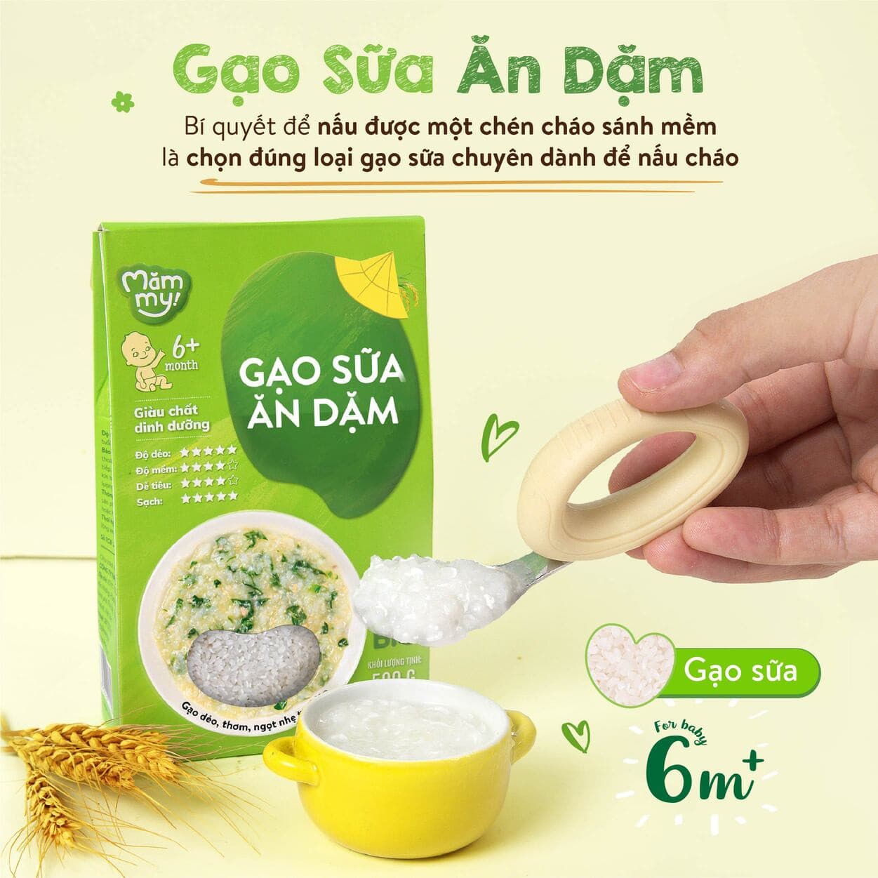 Combo 2 gạo sữa ăn dặm hộp 500g [Mua 2 tặng 1] 2
