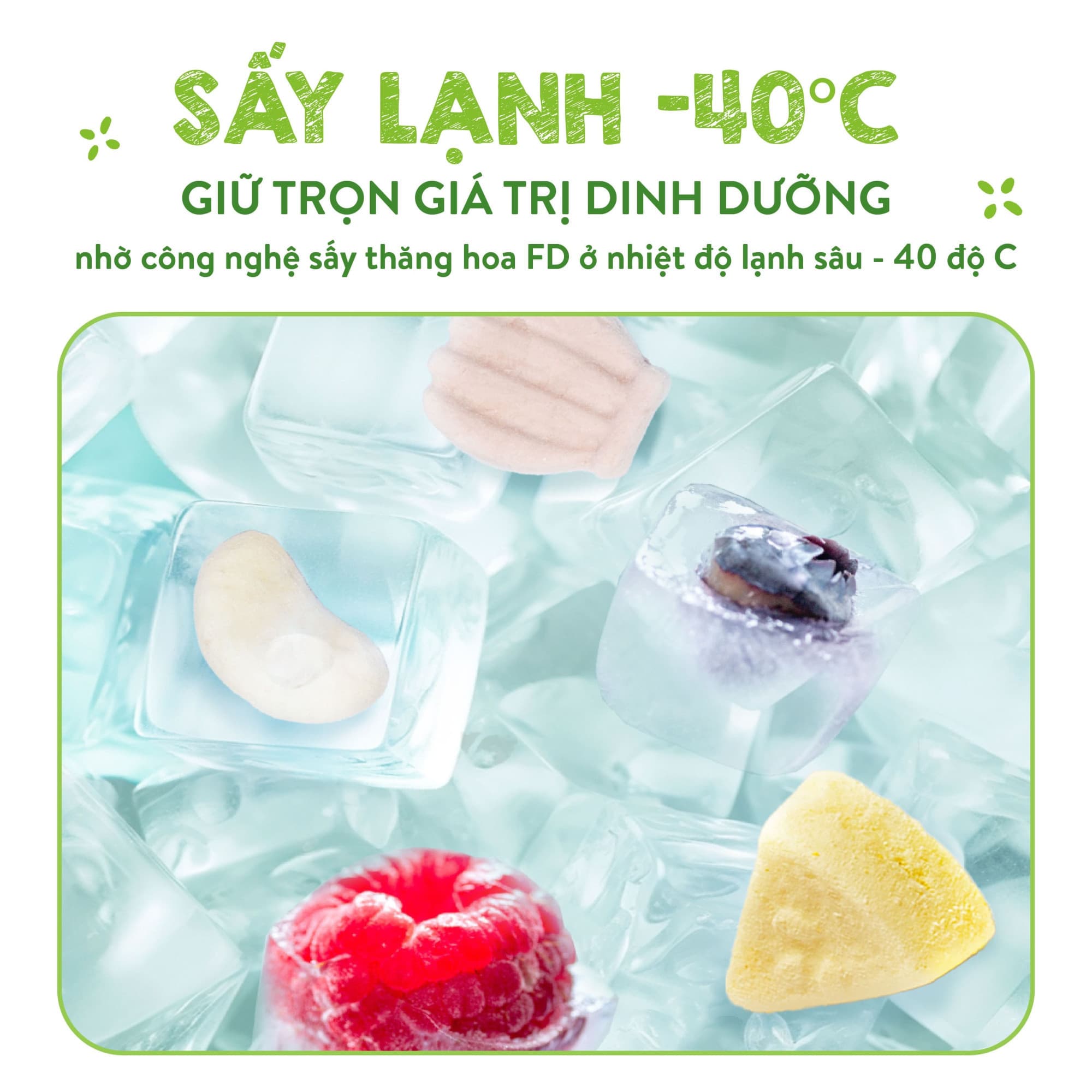 Combo 3 sữa tươi sấy  Hộp 14g - Tặng 1 hộp bánh ăn dặm tự chỉ huy BLW 20