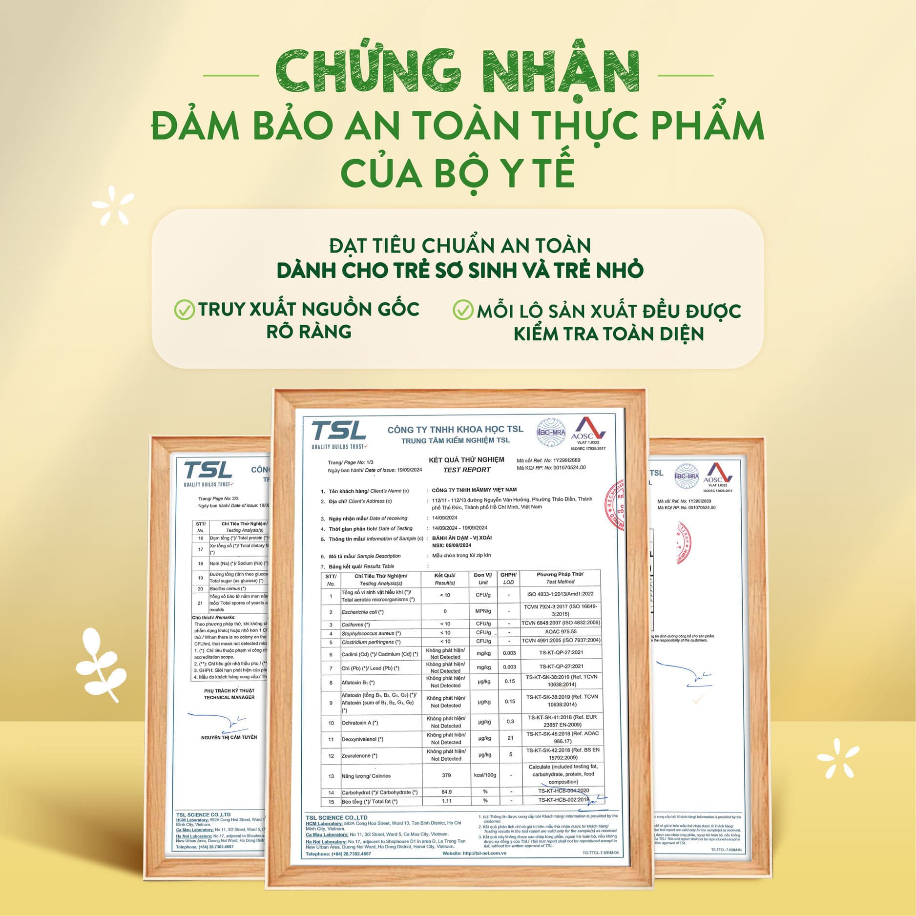 Combo 6 bánh ăn dặm đủ vị trái cây - Túi 35g [Tặng Xe chòi chân cho bé] 8