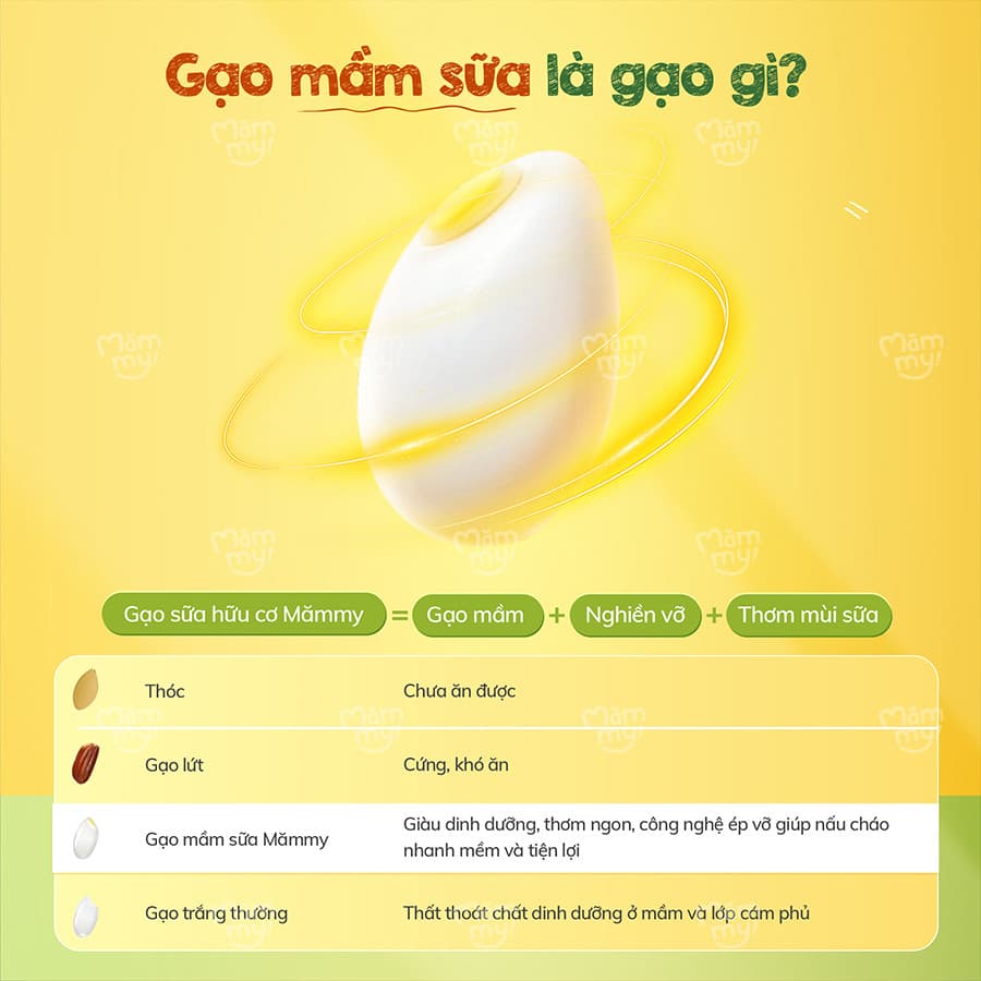 Combo 9 Hũ Gạo Sữa Ăn Dặm Hữu Cơ Mămmy Cho Bé Từ 6 Tháng 140gr/Hũ 2