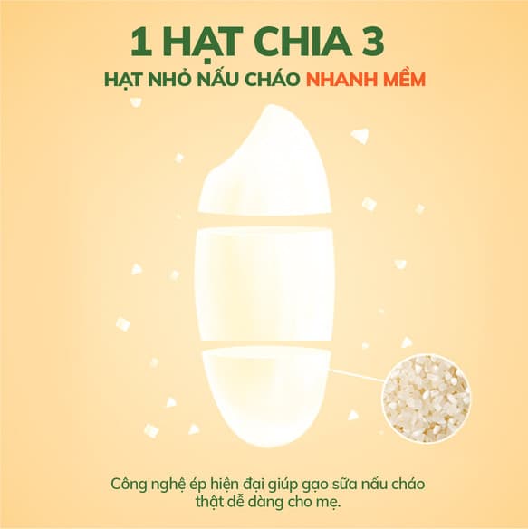 Hạt Gạo Sữa Hữu Cơ - Hũ 140g 3