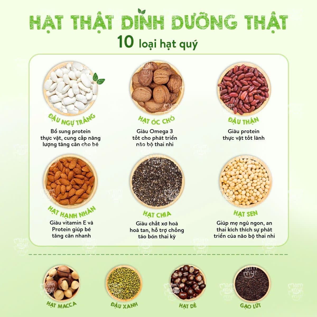 Bột ngũ cốc bầu - Hộp 400g 3