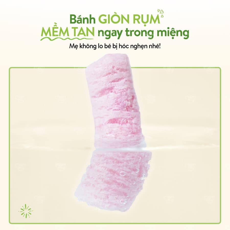 Bánh ăn dặm vị Thanh Long - Hộp 12 g (6 g x 2 túi) 5
