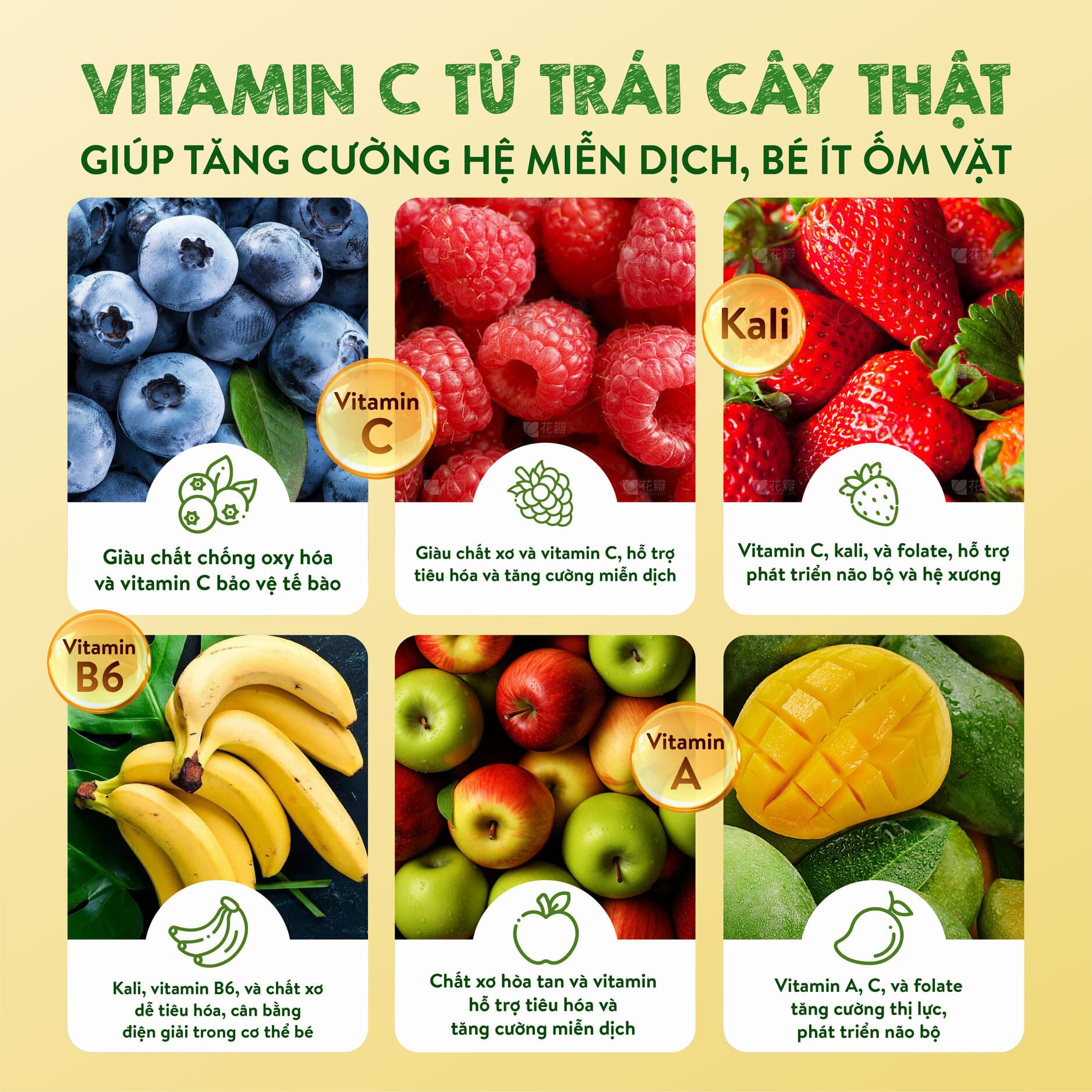 Bánh ăn dặm vị việt quất - Túi 35g 9