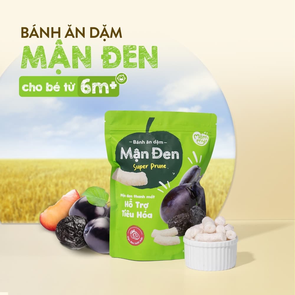 Bánh ăn dặm vị mận đen - Túi 25g 2