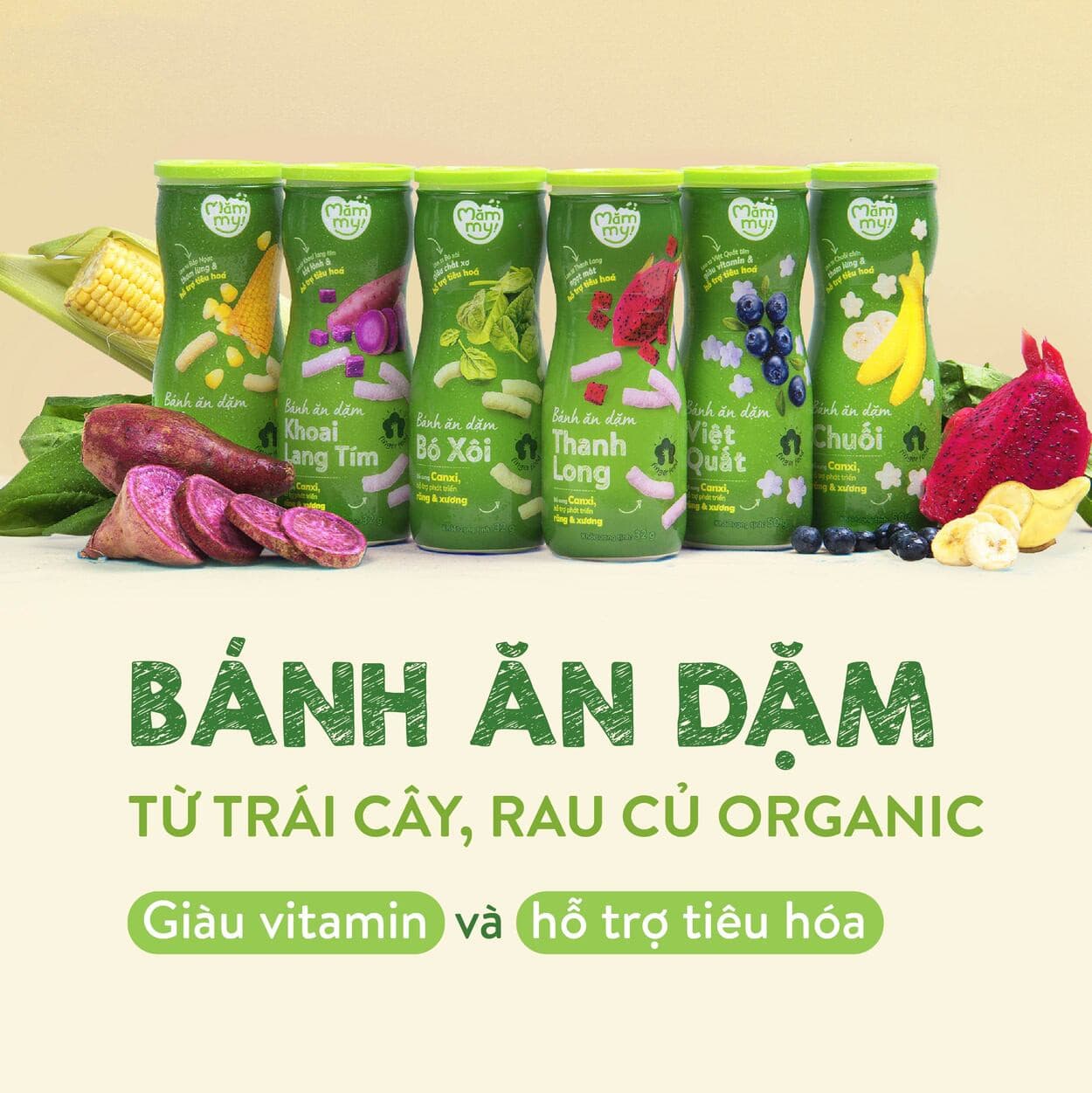 Bánh ăn dặm vị Thanh Long - Hũ 32 g 5