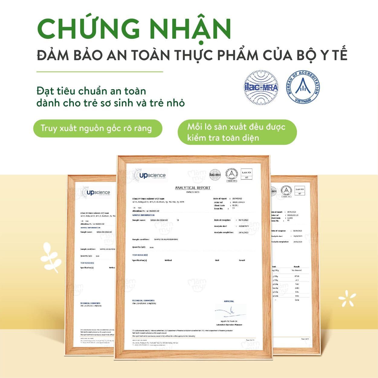 Bánh ăn dặm vị Thanh Long - Hũ 32 g 6