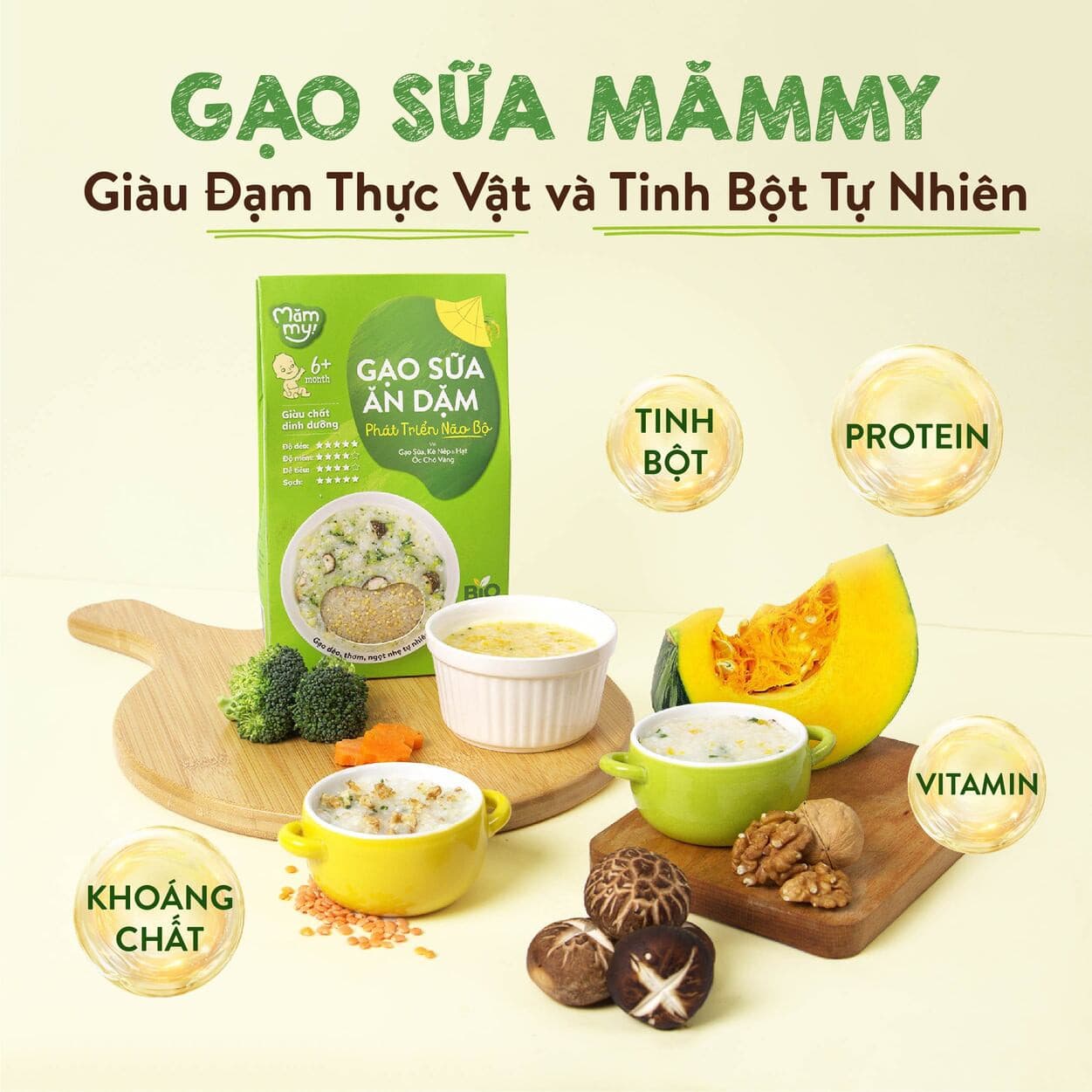Gạo sữa ăn dặm Ngủ Ngon - Hộp 500 g 10