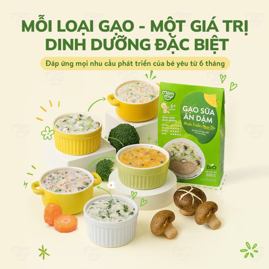 Gạo sữa ăn dặm Ngủ Ngon - Hộp 500 g 9