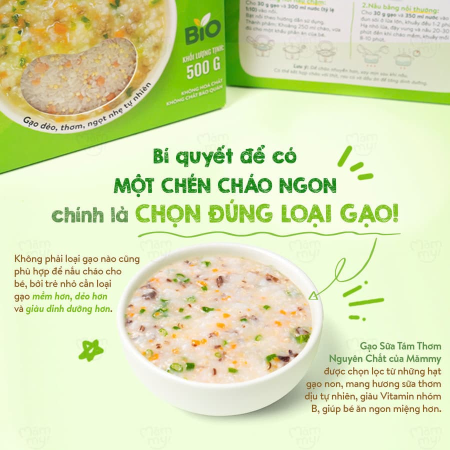 Gạo sữa ăn dặm Ngủ Ngon - Hộp 500 g 8