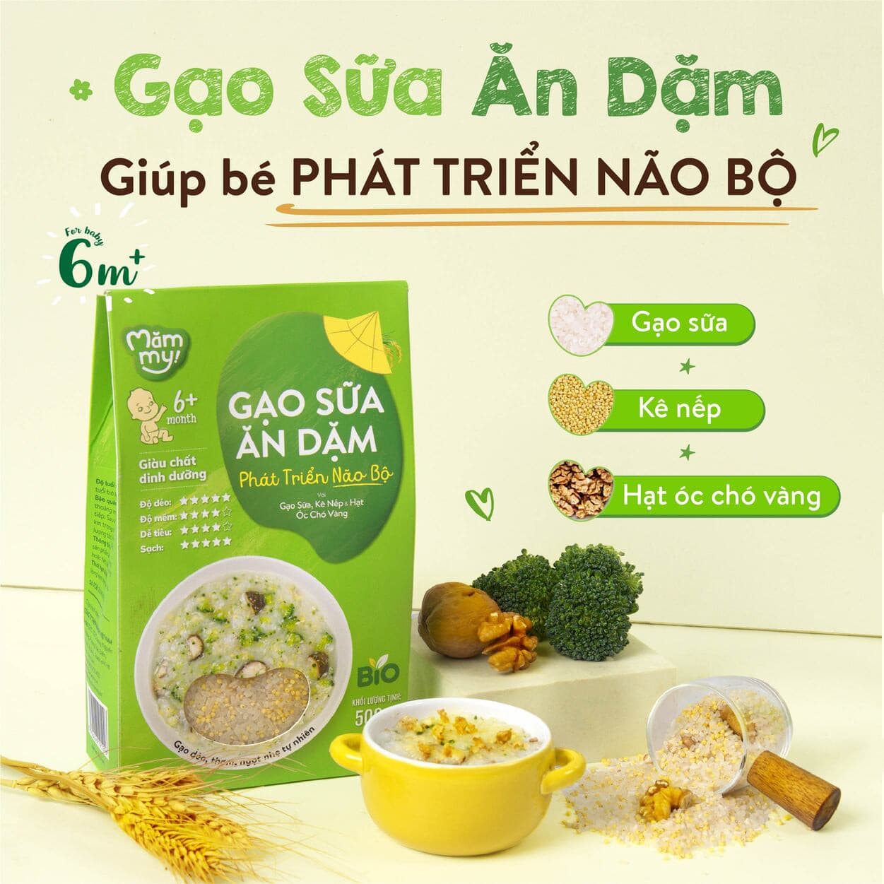 Gạo sữa ăn dặm Phát Triển Não Bộ - Hộp 500 g 2
