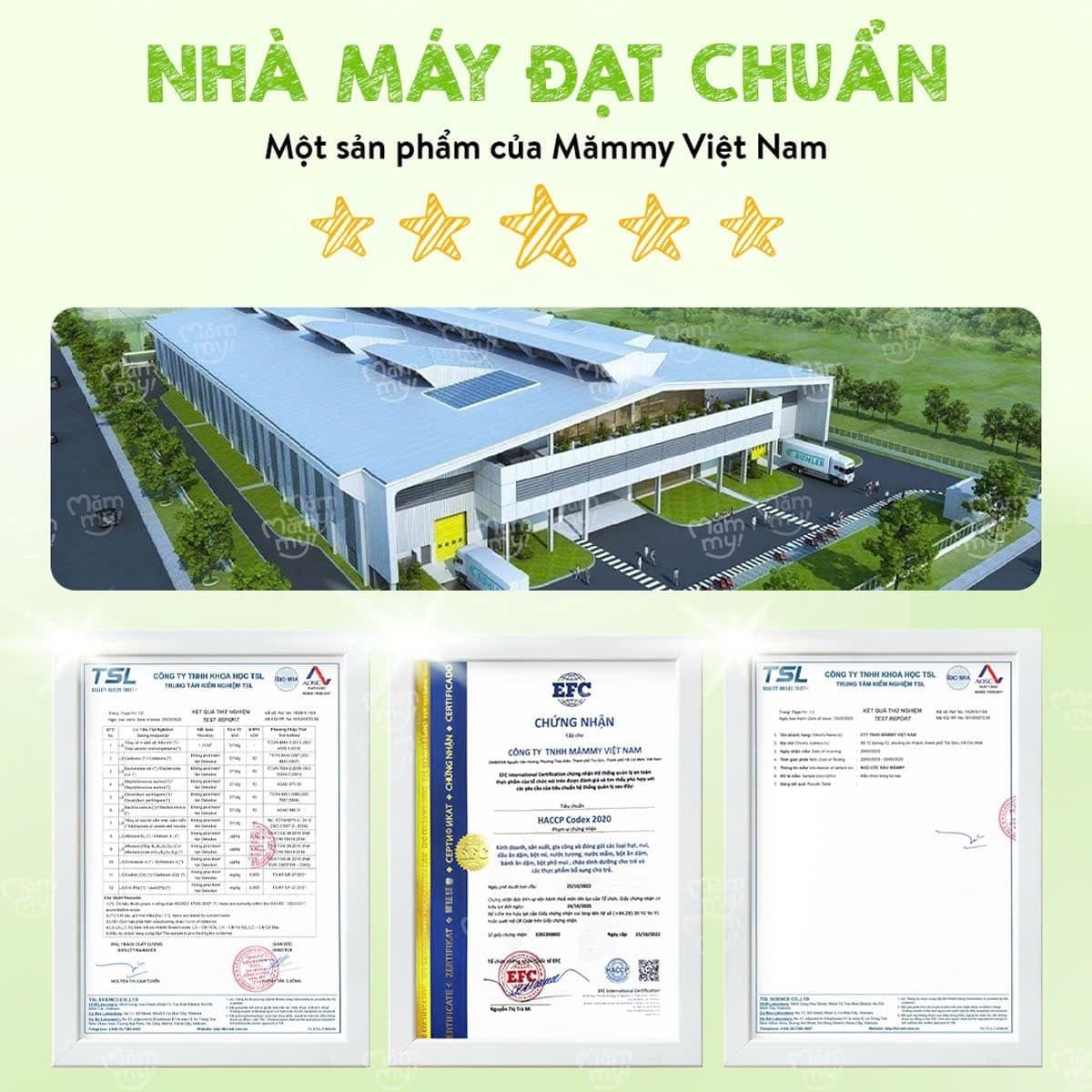 Bột ngũ cốc bầu - Hộp 400g 7