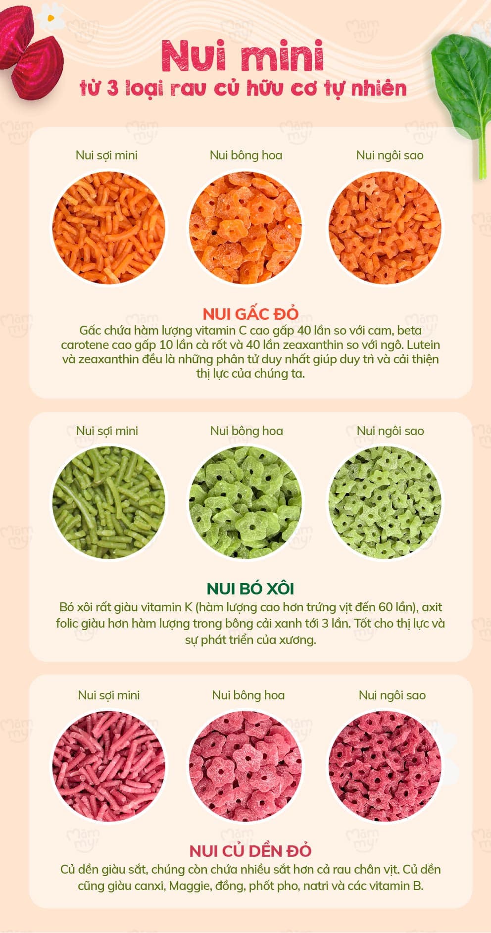 Nui bó xôi mini tập nhai - Hộp 100g 8