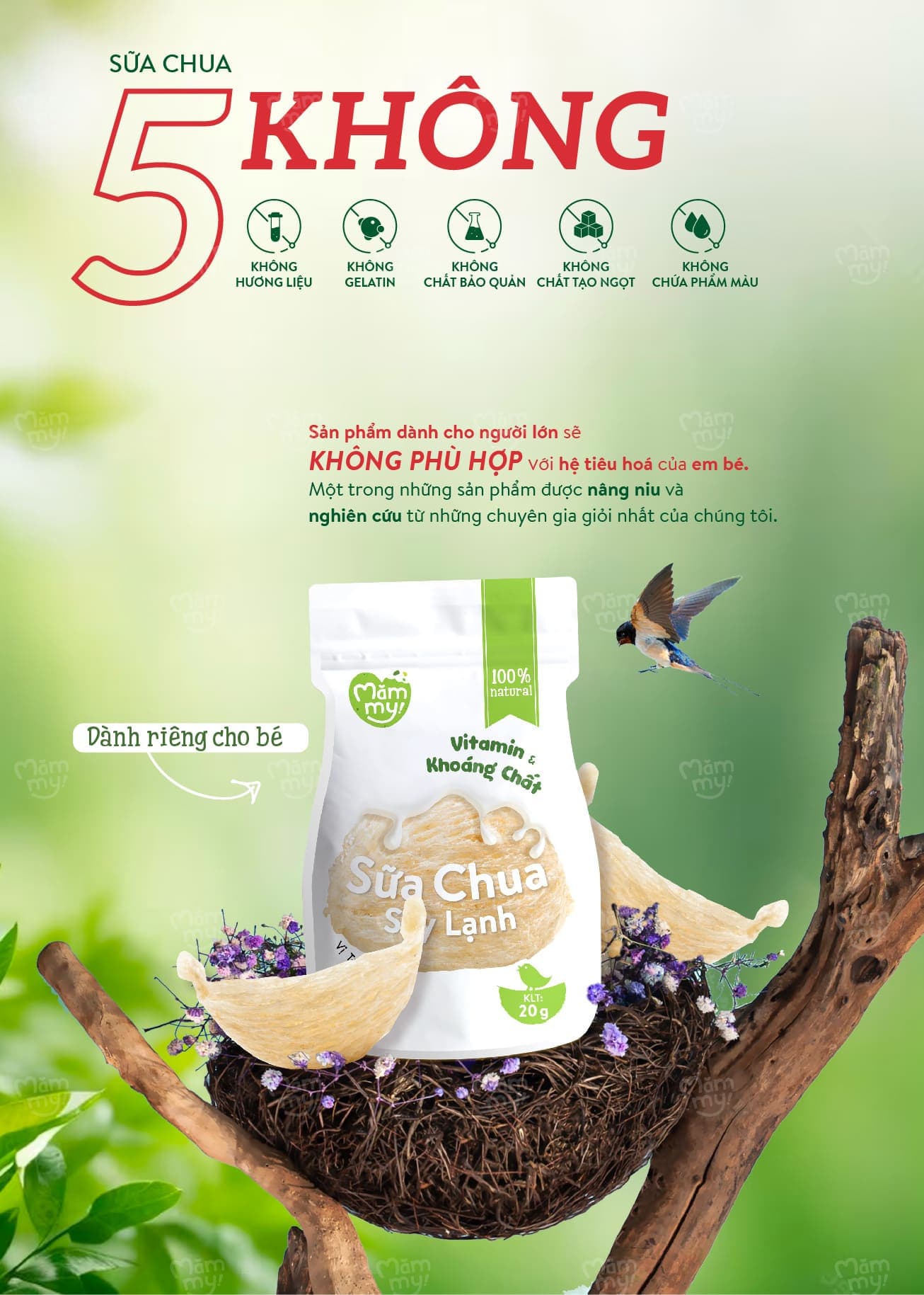 Combo 3 Sữa Chua Sấy Vị Nhật Cao Cấp (Táo, Dâu, Tổ Yến) 15