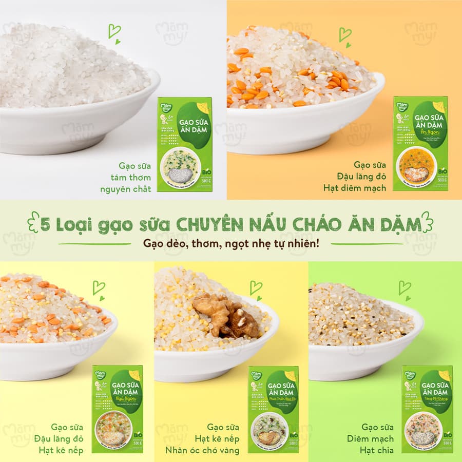 Combo 2 Gạo Sữa Mix Hạt 500G 9