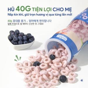 Bánh ăn dặm mix vị mận đen cải kale Biobaby - Hũ 40g 8