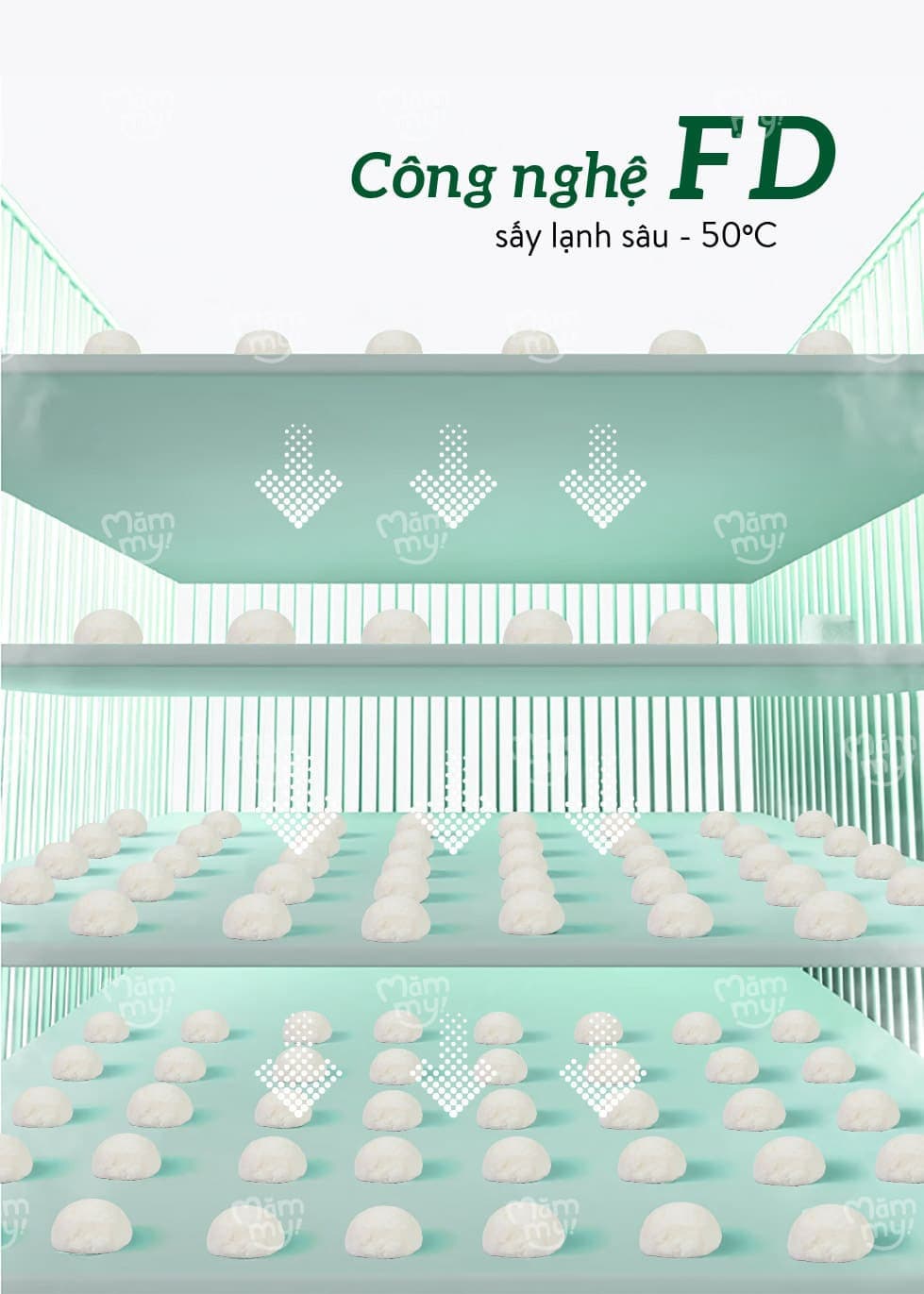 Combo 3 Sữa Chua Sấy Vị Nhật Cao Cấp (Táo, Dâu, Tổ Yến) 10