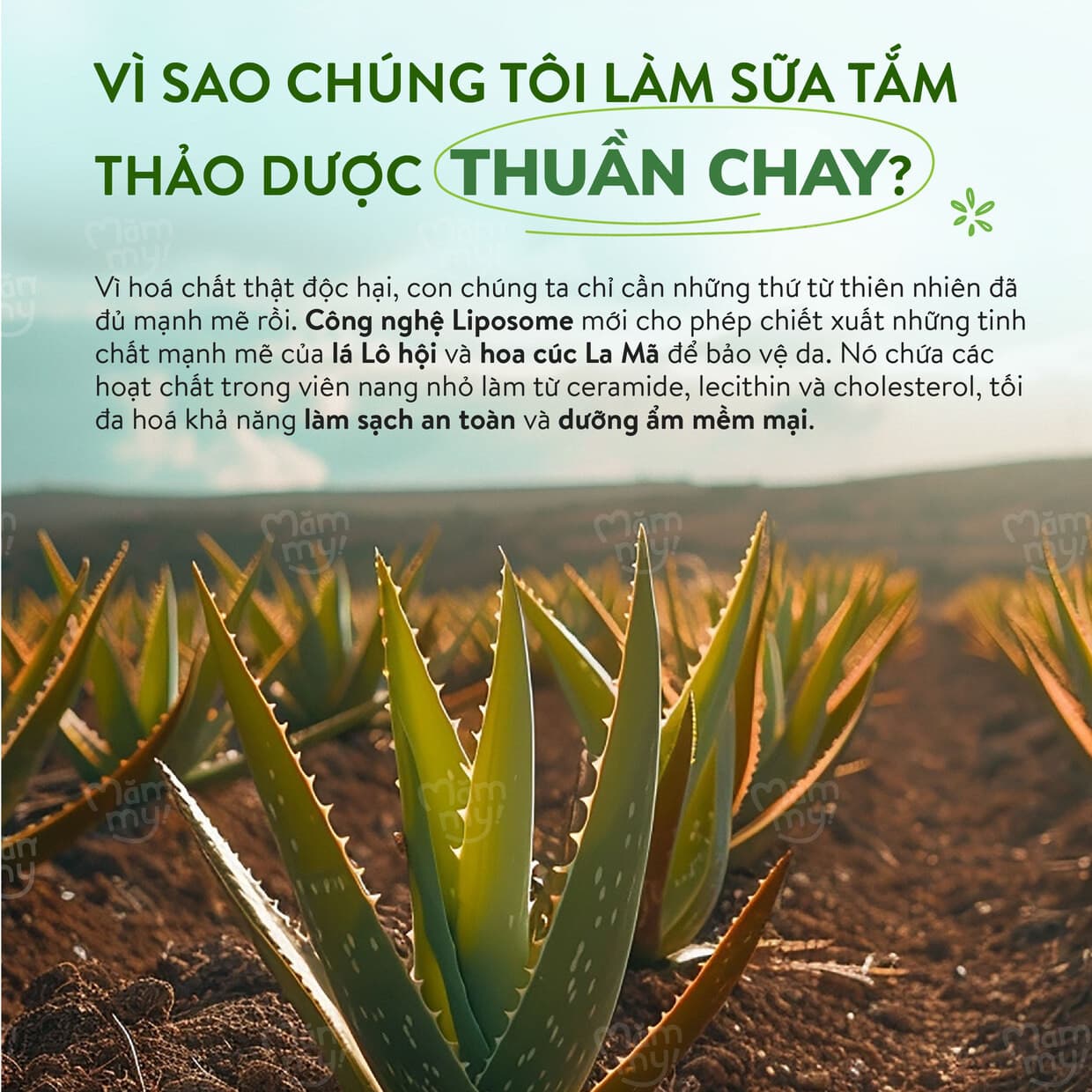 Combo 5 gel sữa tắm thảo dược - Chai 500ml 2