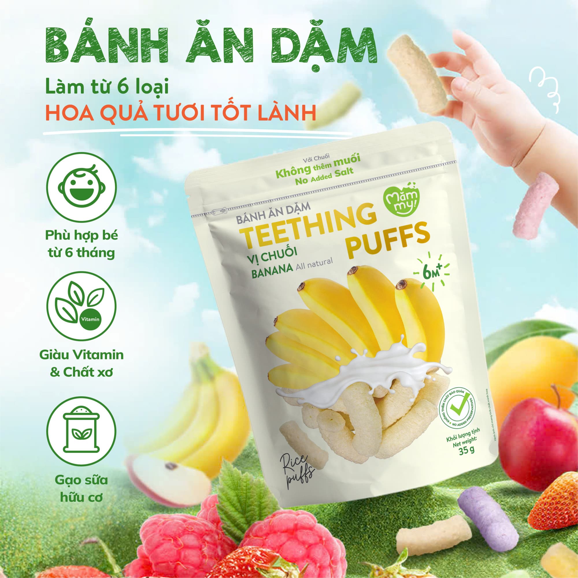 Bánh ăn dặm vị phúc bồn tử - Túi 35g 7