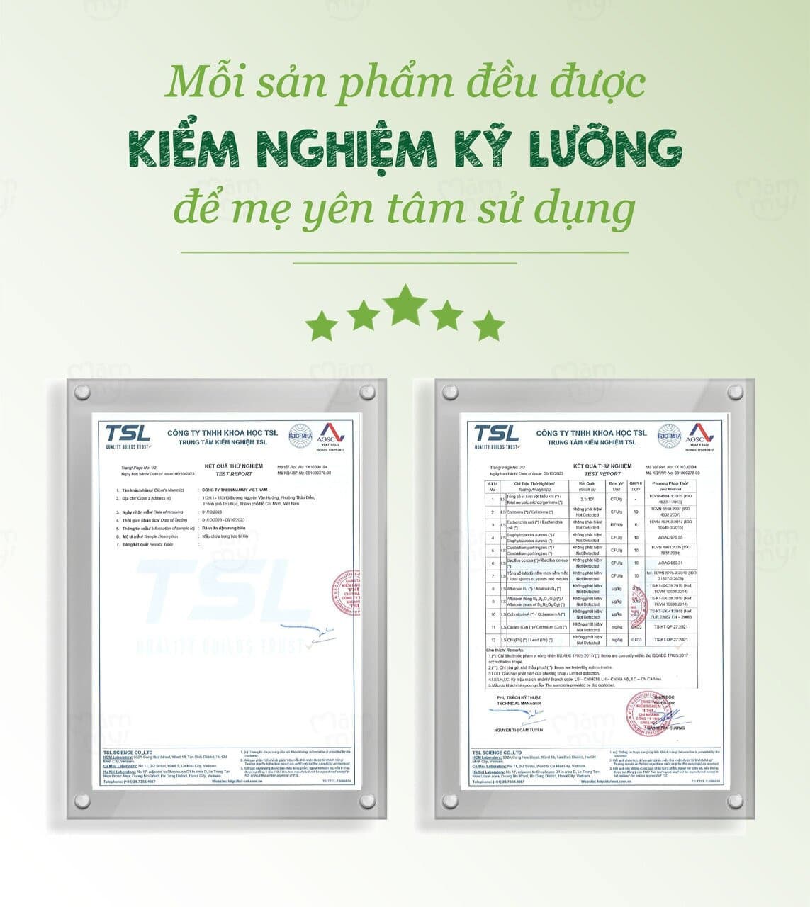 Bánh ăn dặm vị hoa quả - Túi 35g Premium 6